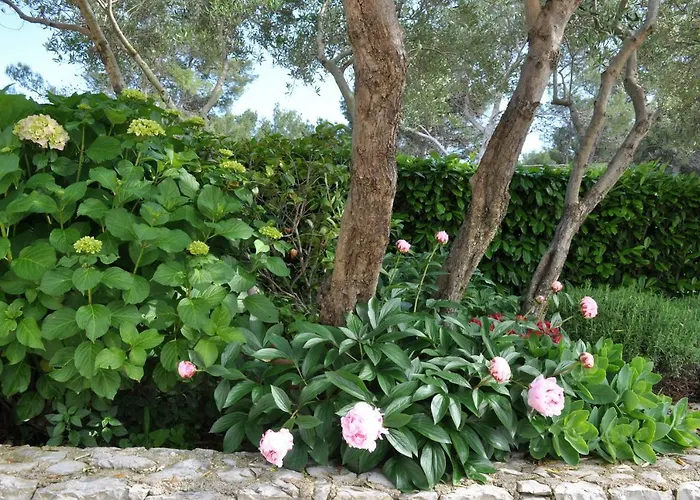 Crepsa Apartment Cres