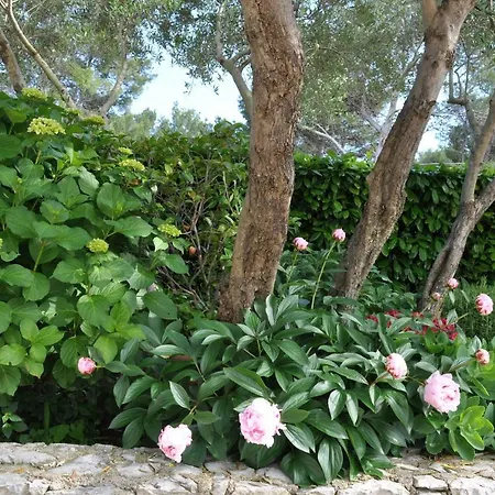 Crepsa Appartamento Cres