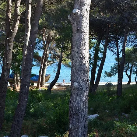 Apartament Crepsa Cres